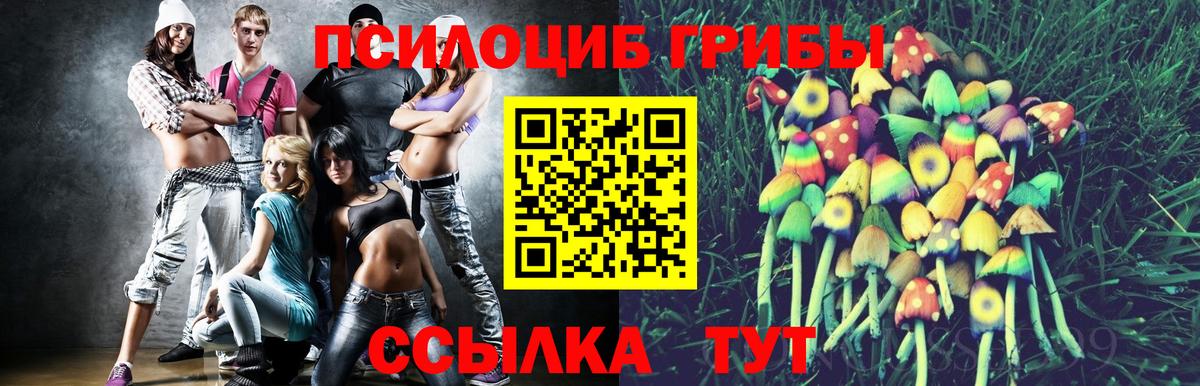 Боровичи  Галлюциногенные грибы Cubensis  Вход с VPN  Псилоцибиновые грибы мухоморы 